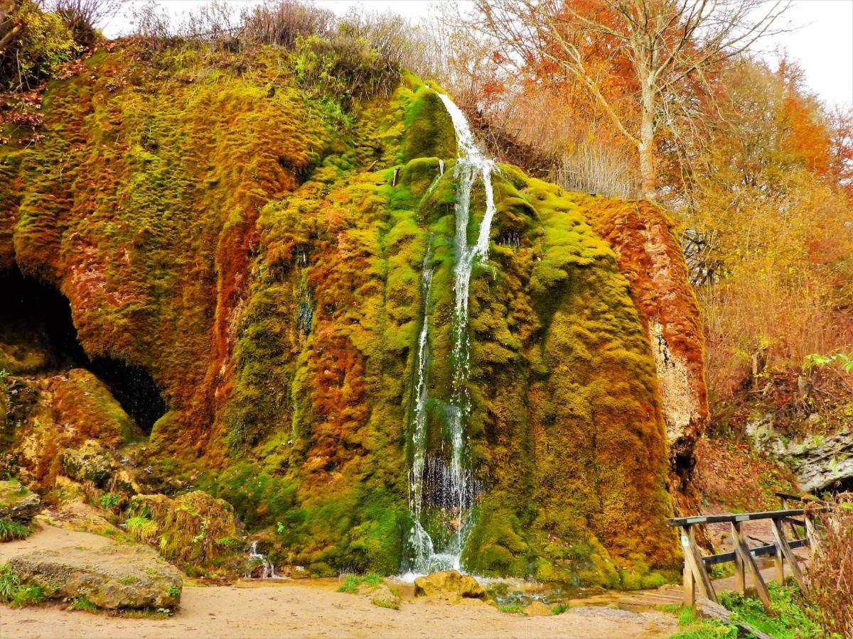 Pension Winnemuller Кохем Экстерьер фото